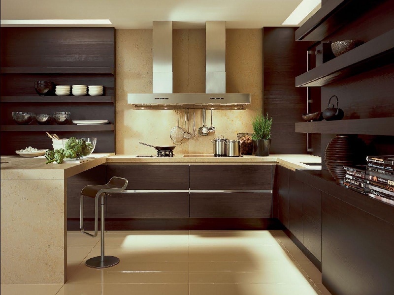 Кухня венге - цвета и особенности дизайна! Как выбрать подходящую кухню венге для интерьера?